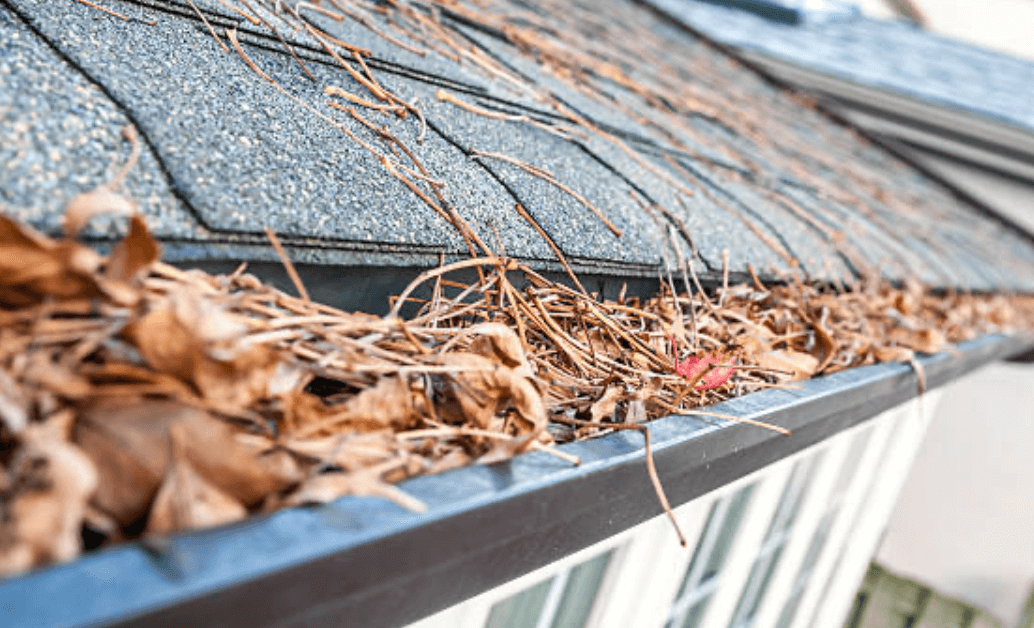gutter cleaning